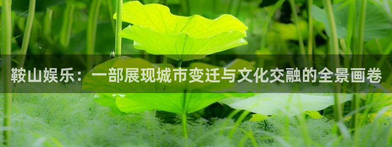 彩客网触屏版手机版旧版：鞍山娱乐：一部展现城市变迁与文化交融的全景画卷