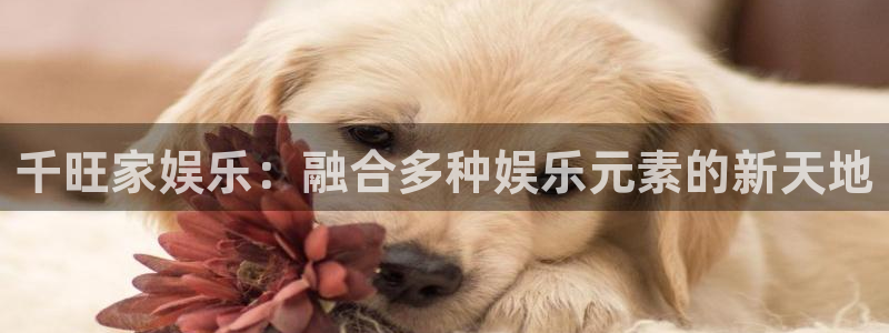 彩客网下载新版本：千旺家娱乐：融合多种娱乐元素的新天地