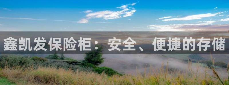 彩客网数据库：鑫凯发保险柜：安全、便捷的存储