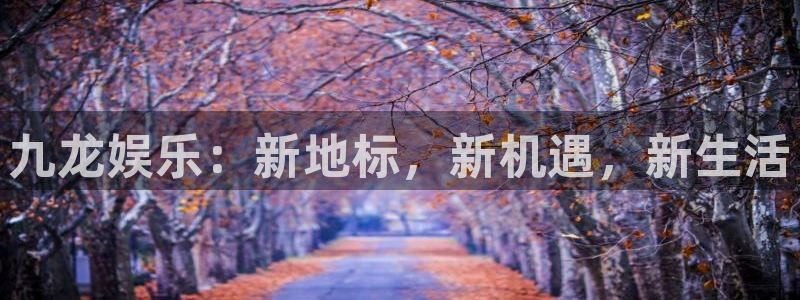 竞彩彩客网首页：九龙娱乐：新地标，新机遇，新生活