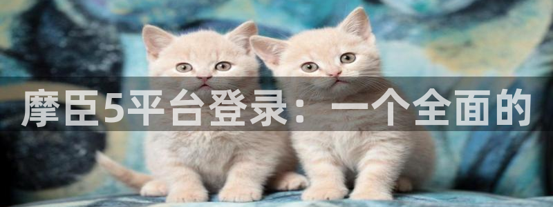 彩客网胜平负：摩臣5平台登录：一个全面的