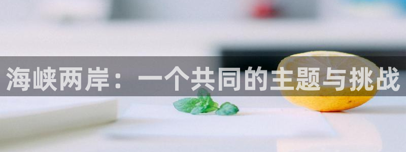 彩客网九场：海峡两岸：一个共同的主题与挑战