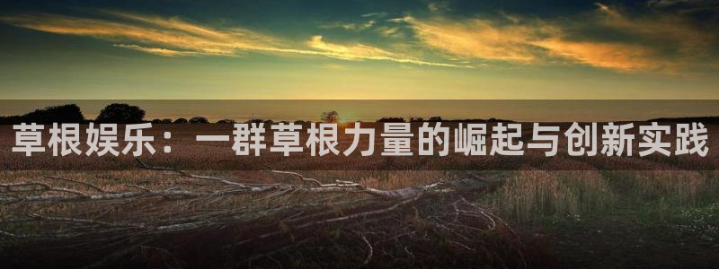 竞彩网彩客网：草根娱乐：一群草根力量的崛起与创新实践