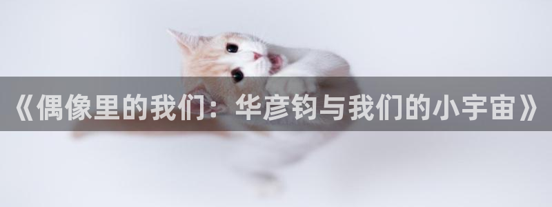 彩客网 官网：《偶像里的我们：华彦钧与我们的小宇宙》