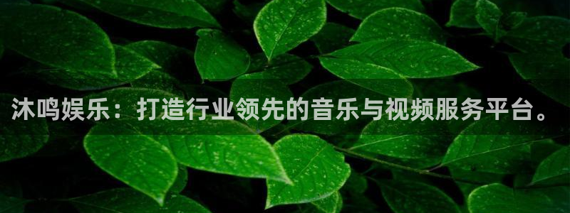 彩客网不能玩了吗：沐鸣娱乐：打造行业领先的音乐与视频服务平台。