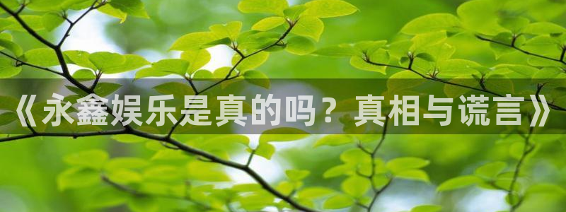 彩客网数：《永鑫娱乐是真的吗？真相与谎言》