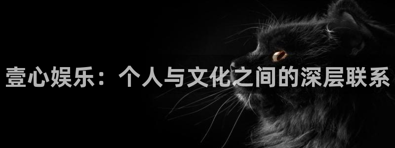 彩客网结果