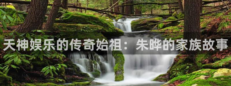彩客网官网手机版