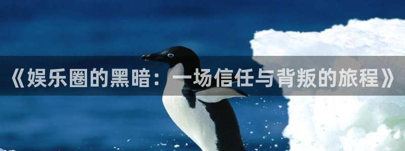 彩客网计算器旧版：《娱乐圈的黑暗：一场信任与背叛的旅程》
