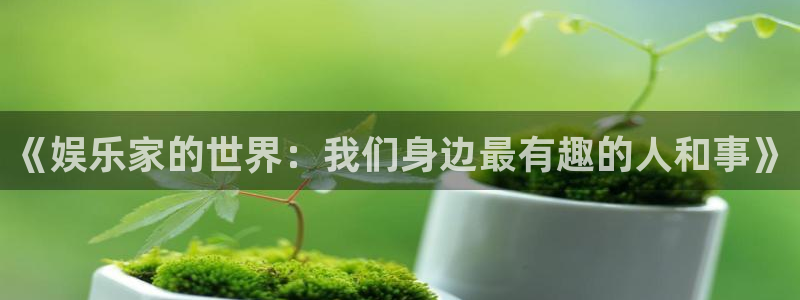 彩客网 电脑版：《娱乐家的世界：我们身边最有趣的人和事》