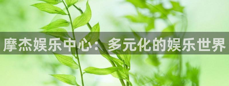 彩客网即时比分完整比分专家分析：摩杰娱乐中心：多元化的娱乐世界
