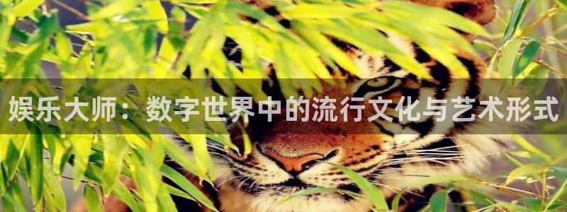彩客网主页：娱乐大师：数字世界中的流行文化与艺术形式