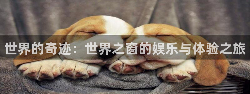 彩客网官方首页：世界的奇迹：世界之窗的娱乐与体验之旅
