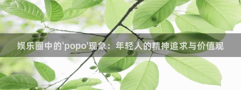 彩客网官方：娱乐圈中的\'popo\'现象：年轻人的精神追求与价值观