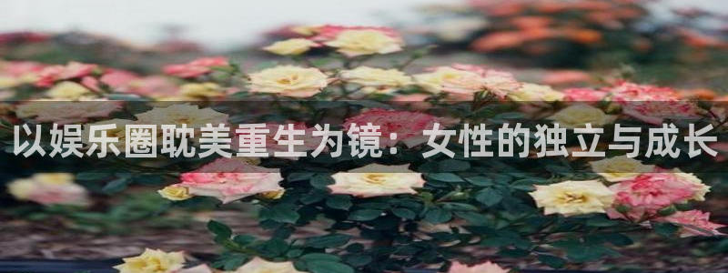 彩客网触屏版最新版：以娱乐圈耽美重生为镜：女性的独立与成长