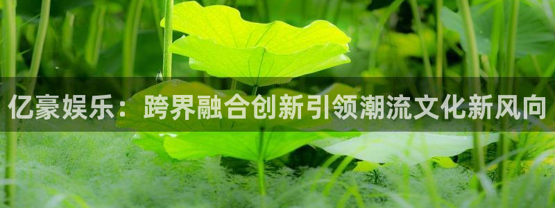 彩客网比分完整版推荐：亿豪娱乐：跨界融合创新引领潮流文化新风向