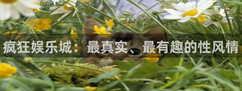 澳客网彩客网：疯狂娱乐城：最真实、最有趣的性风情