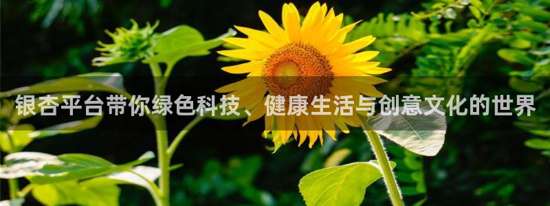 中国彩客网：银杏平台带你绿色科技、健康生活与创意文化的世界
