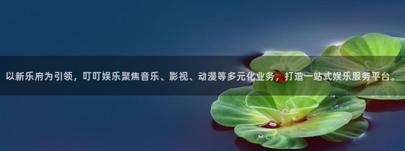 竞彩胜平负奖金计算器彩客网：以新乐府为引领，叮叮娱乐聚焦音乐、影视、动漫等多元化业务，打造一站式娱乐服务平台。