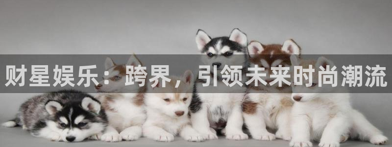 胜彩客网