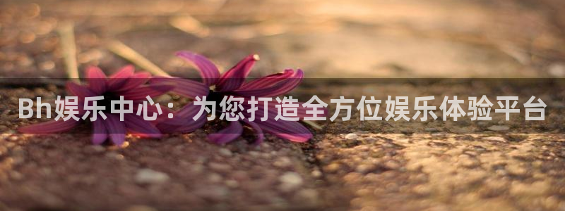 彩客网触屏版电脑版：Bh娱乐中心：为您打造全方位娱乐体验平台