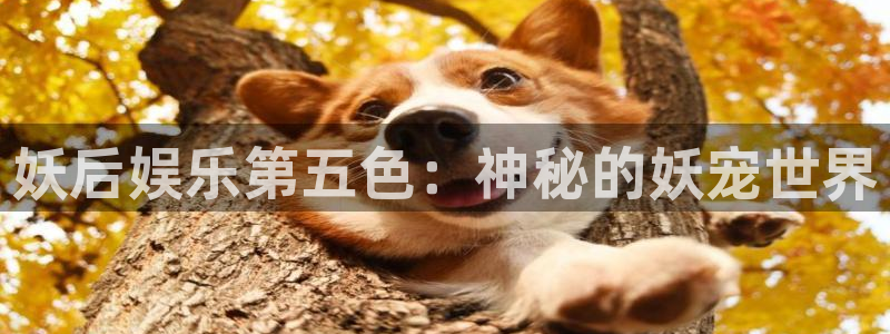 足球比分彩客网：妖后娱乐第五色：神秘的妖宠世界