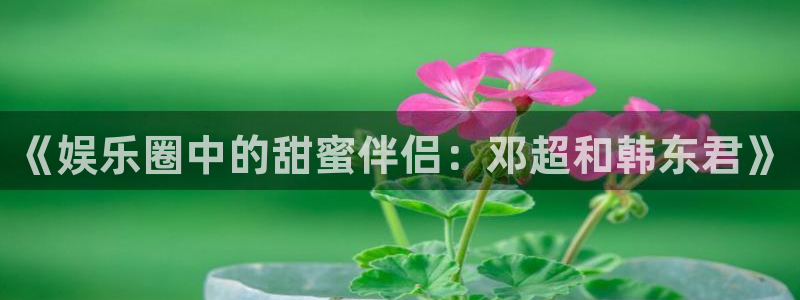 彩客网胜平负竞彩足球数据：《娱乐圈中的甜蜜伴侣：邓超和韩东君》
