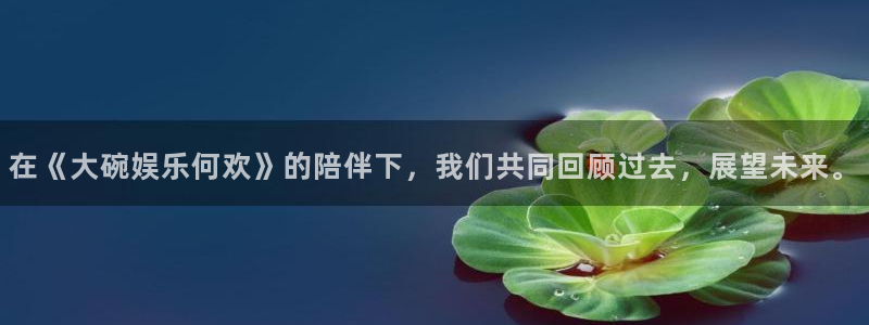 彩客网新版完整比分：在《大碗娱乐何欢》的陪伴下，我们共同回顾过去，展望未来。